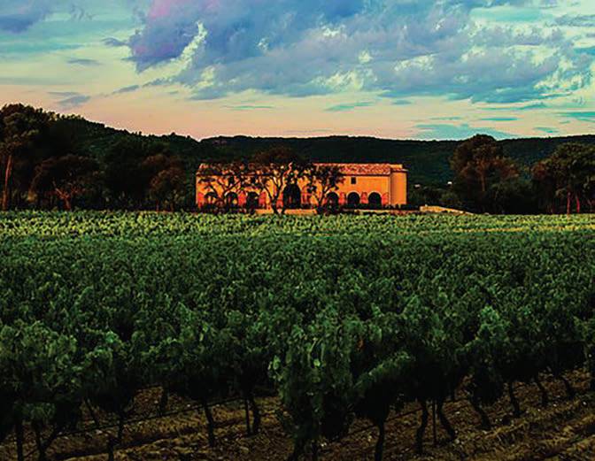 DE LA VIGNE AU VERRE : AU CHÂTEAU SAINT-MAUR